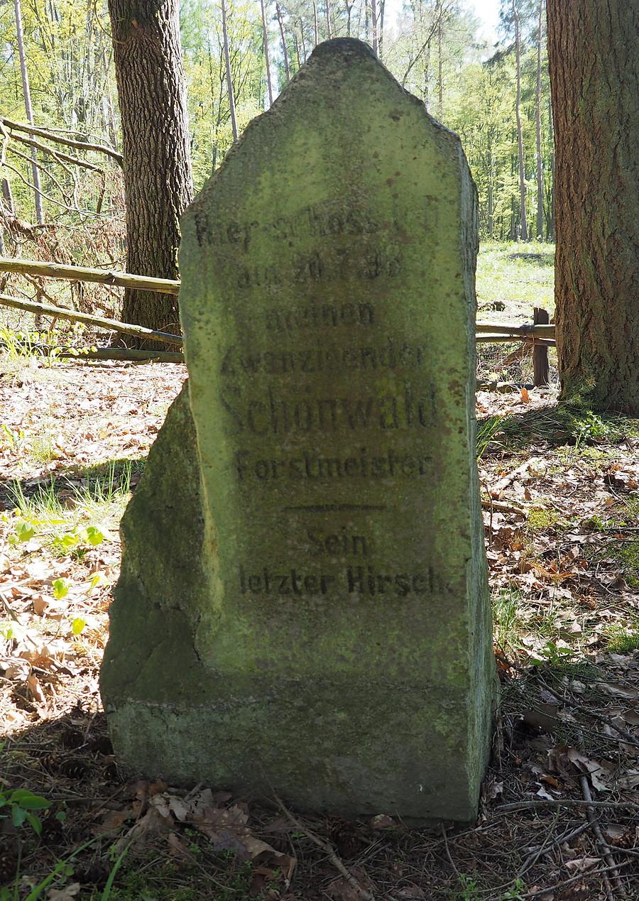 Kamień Schönwalda z bliska