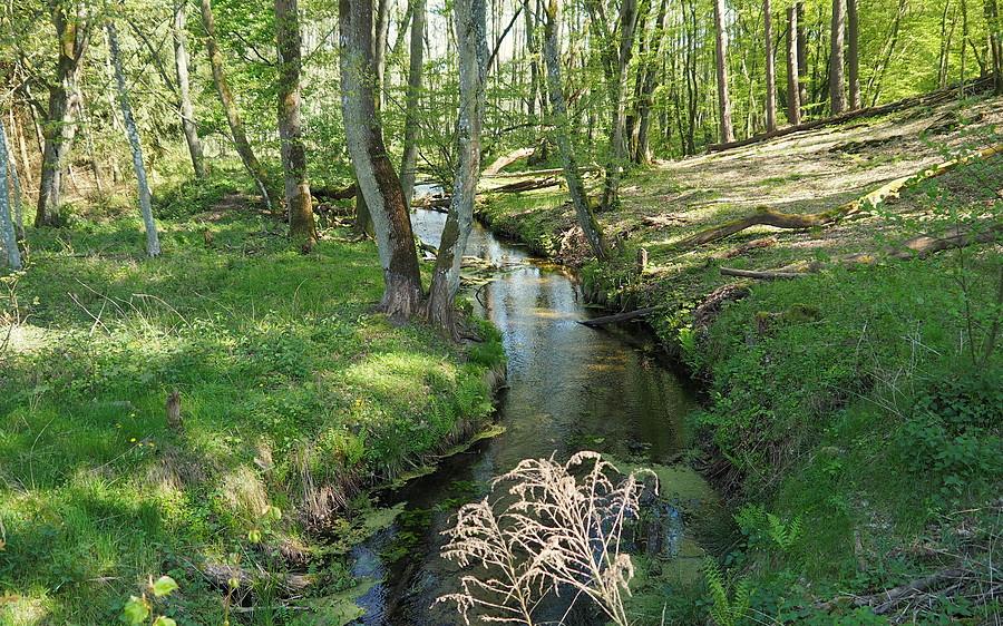 Nad rzeczką Witną