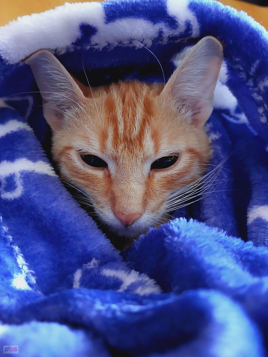 Jonesy