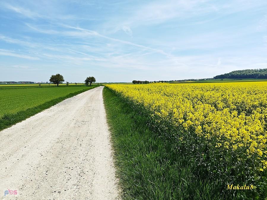 Opolskie strade bianche