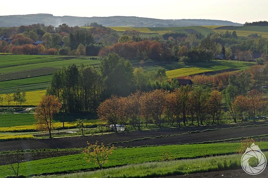 mozaika widoków kolo Kańczugi