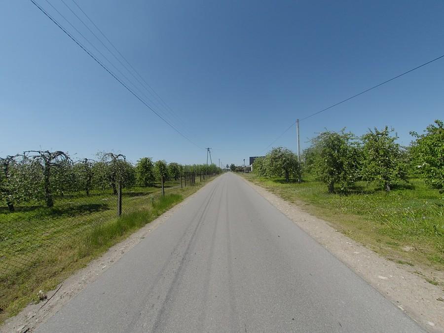 Pięćdziesiąt kilometrów wśród sadów