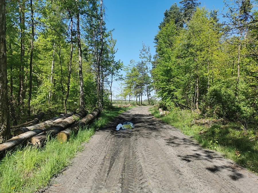 Opony Gravelking dają radę w terenie