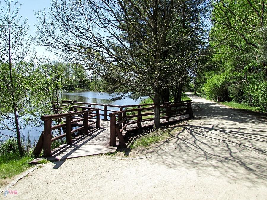 Pomost nad stawem