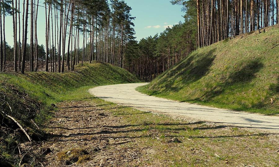 Dojazd pożarowy nr 3