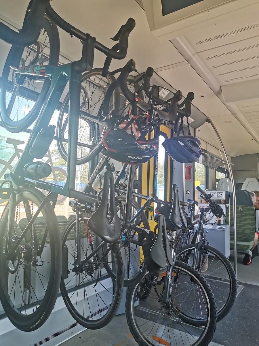 Orbea, Scott, Triban, Pinarello