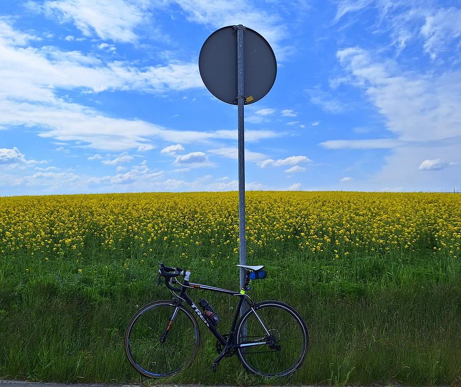 Rzepakowa rowerówka