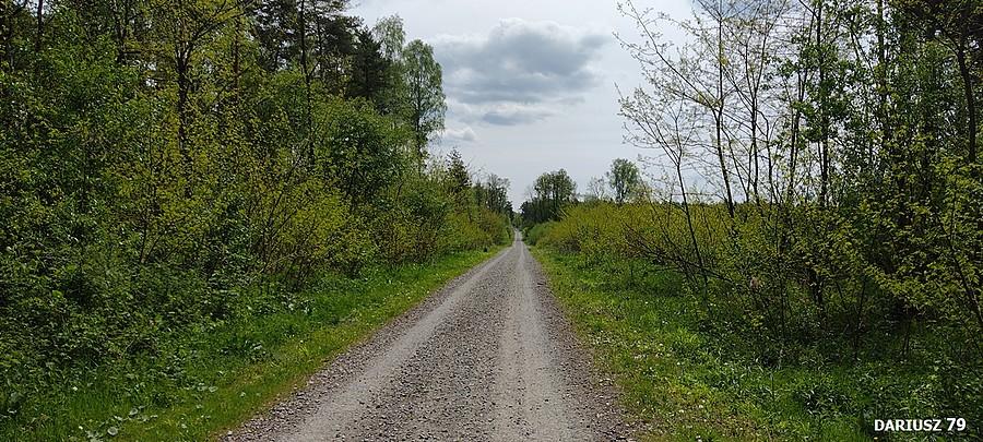 Dąbrowa Górnicza - Piła Ujejska