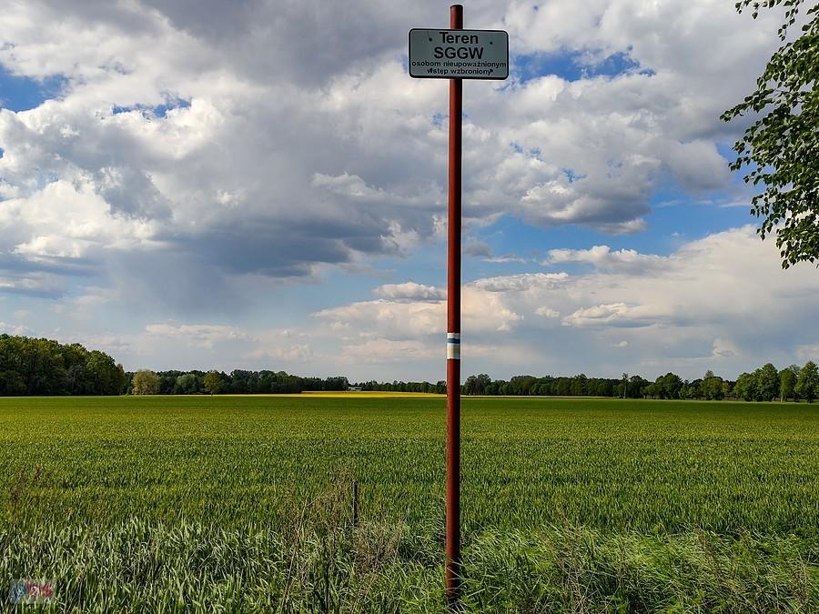 Pola prawdopodobnie najbogatszej uczelni w Polsce