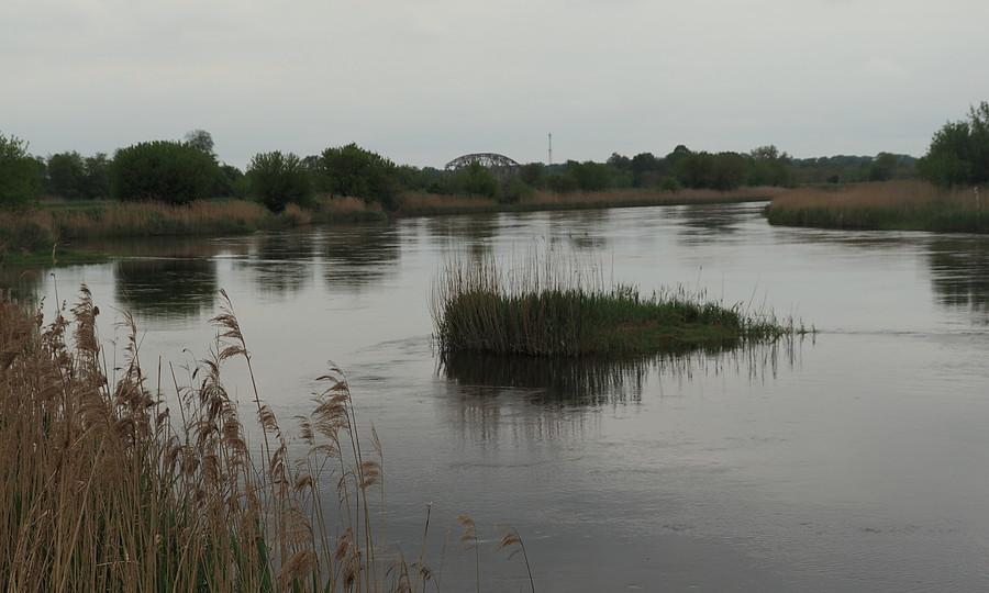 Nad brzegami Warty