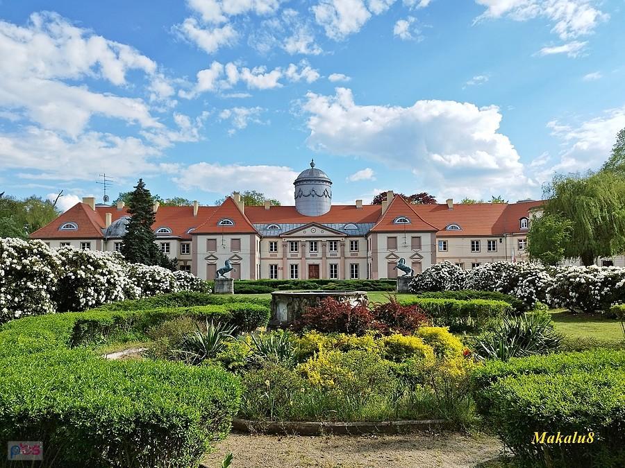 Milicz, Pałac Maltzanów