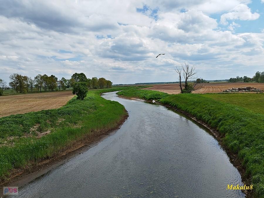 Barycz, Wróbliniec.