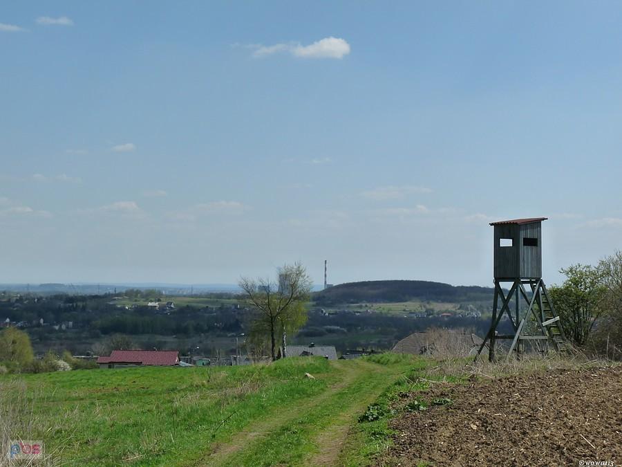 Gdzieś koło Rogoźnika