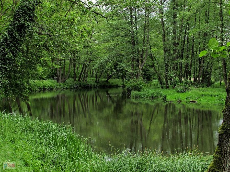 Jeziorka przy Parku Zdrojowym