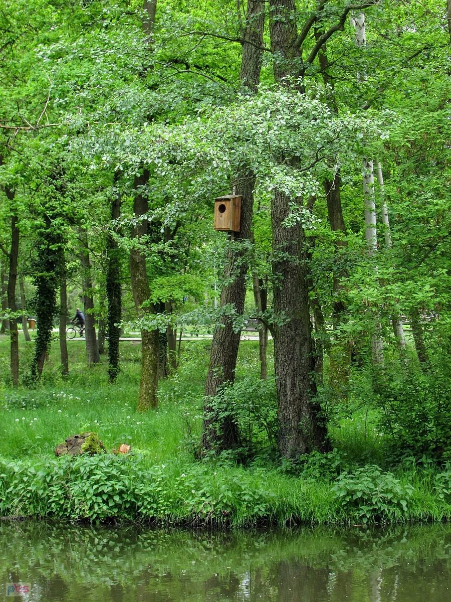 Budka dla gągołów