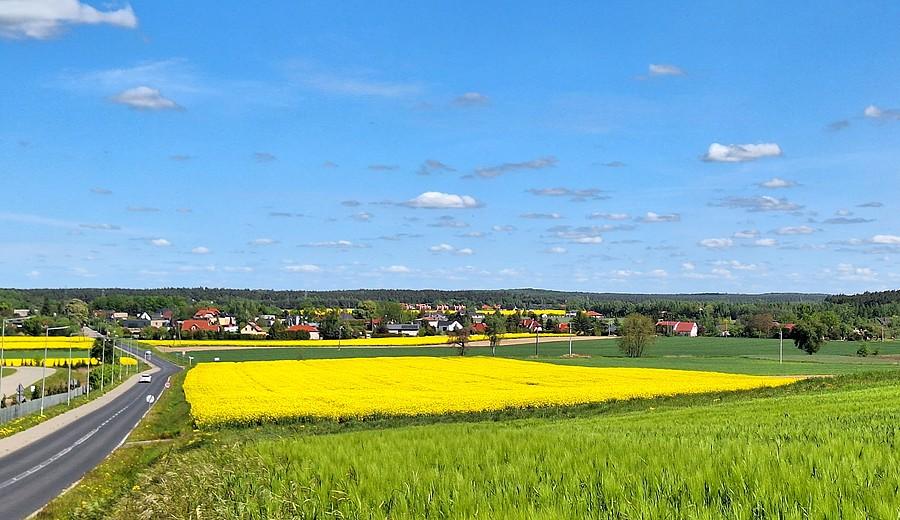 Widok na Kicin