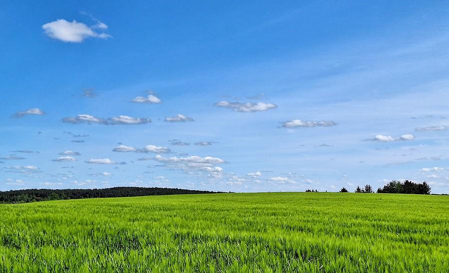 Zielono i chmurkowo