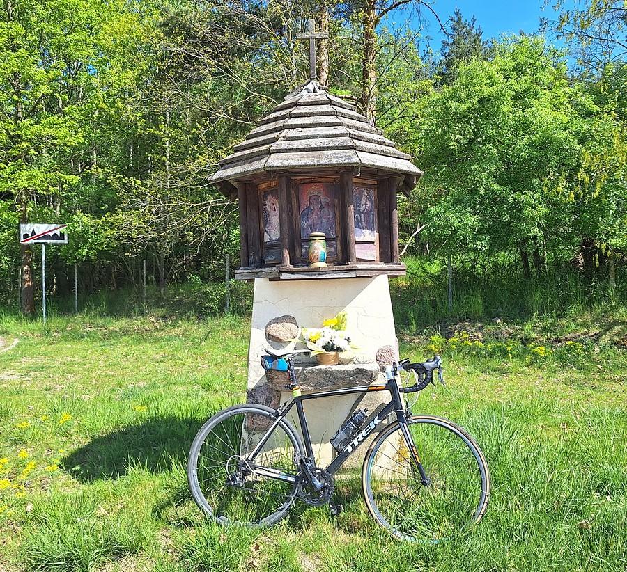 Pod kapliczką w Dębogórze