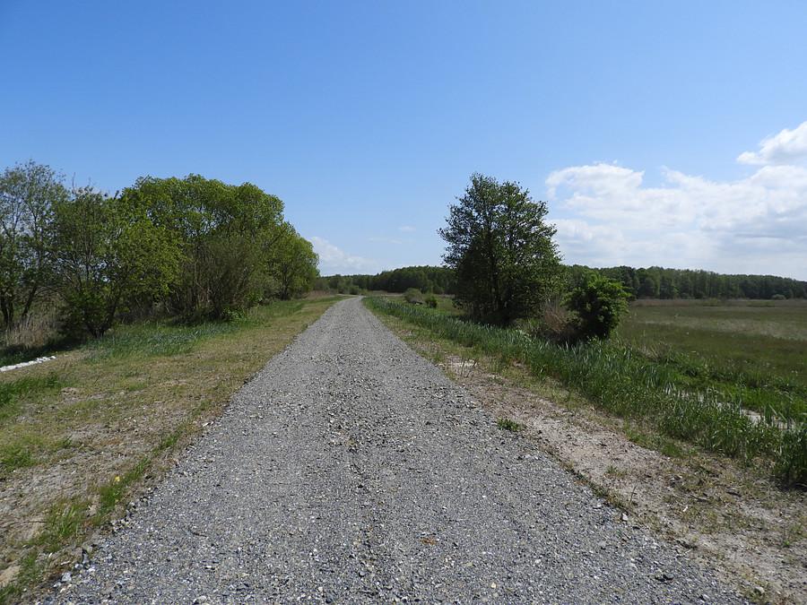 Fragment wału przeciwpowodziowego.