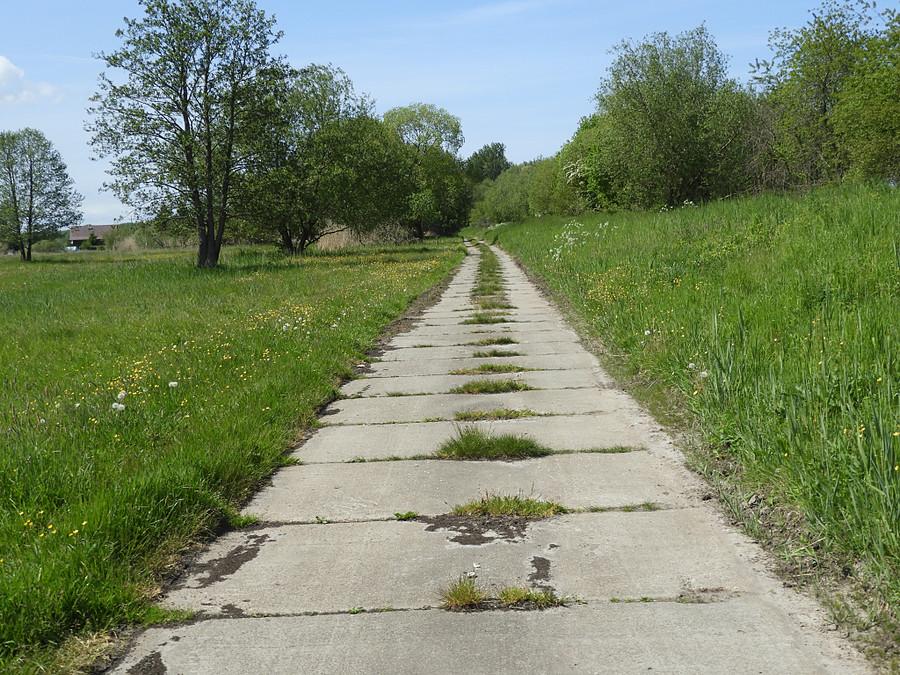 Wzdłuż wału przeciwpowodziowego.
