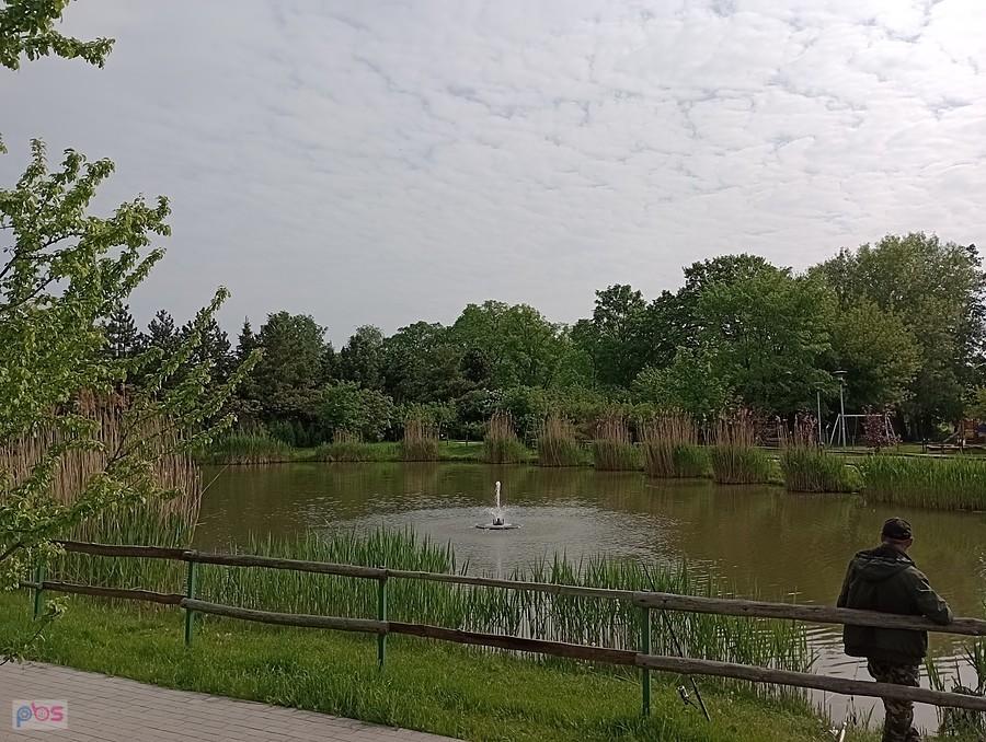 Staw w Borzęcinie