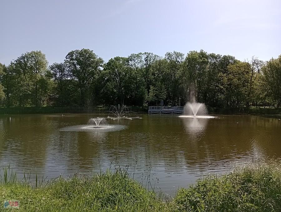 Staw w Ołtarzewie