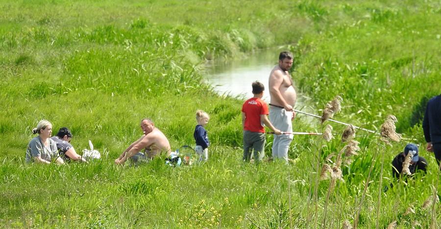 Miały być ptaki, są oblechy :(