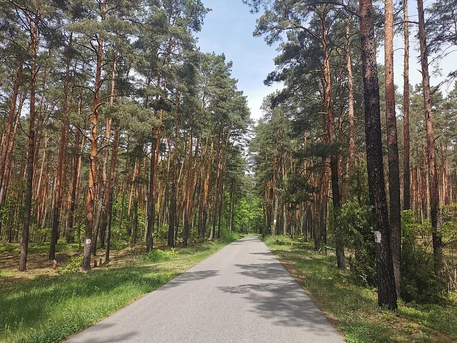 Pięć kilometrów asfaltu Górki-Głusk
