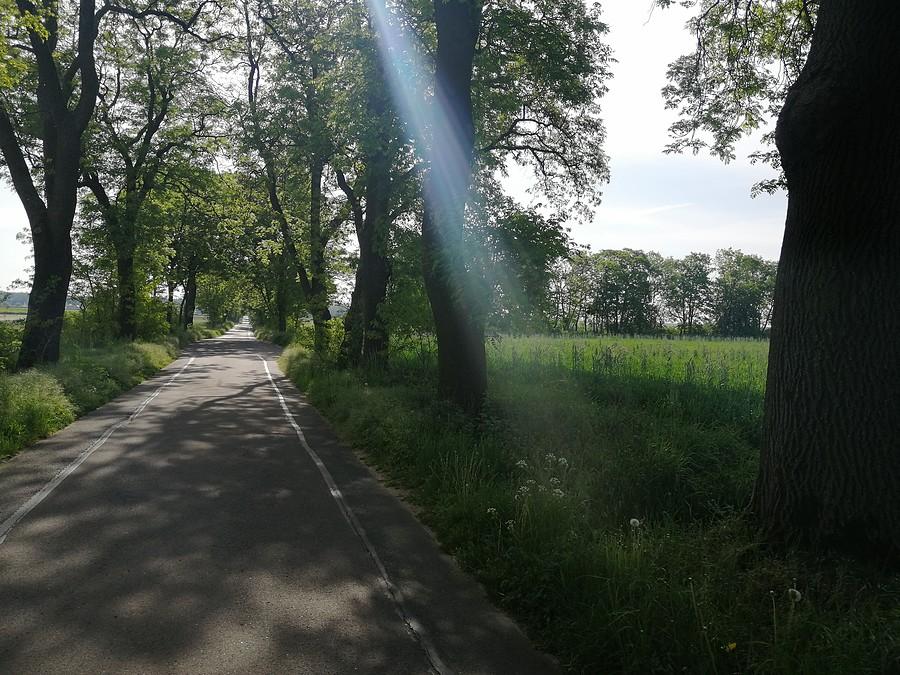 Wiązka fotonów.