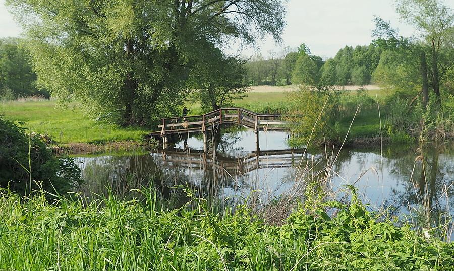 Nad Obrą w Św. Wojciechu