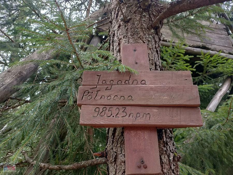 Jagodna Północna