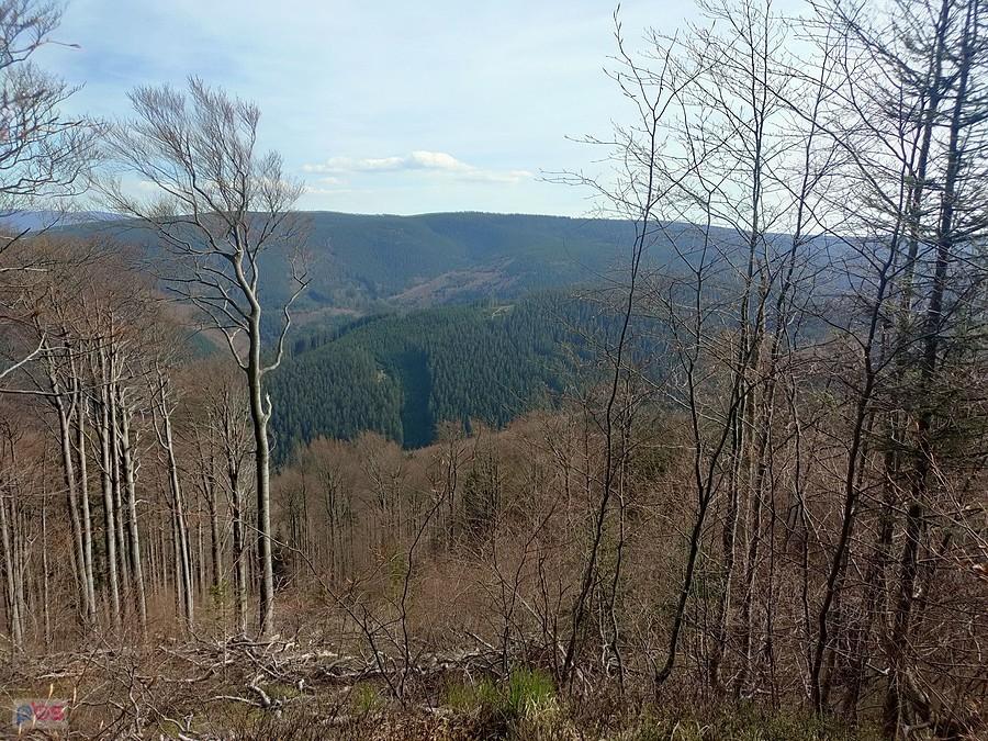 Widoków niewiele
