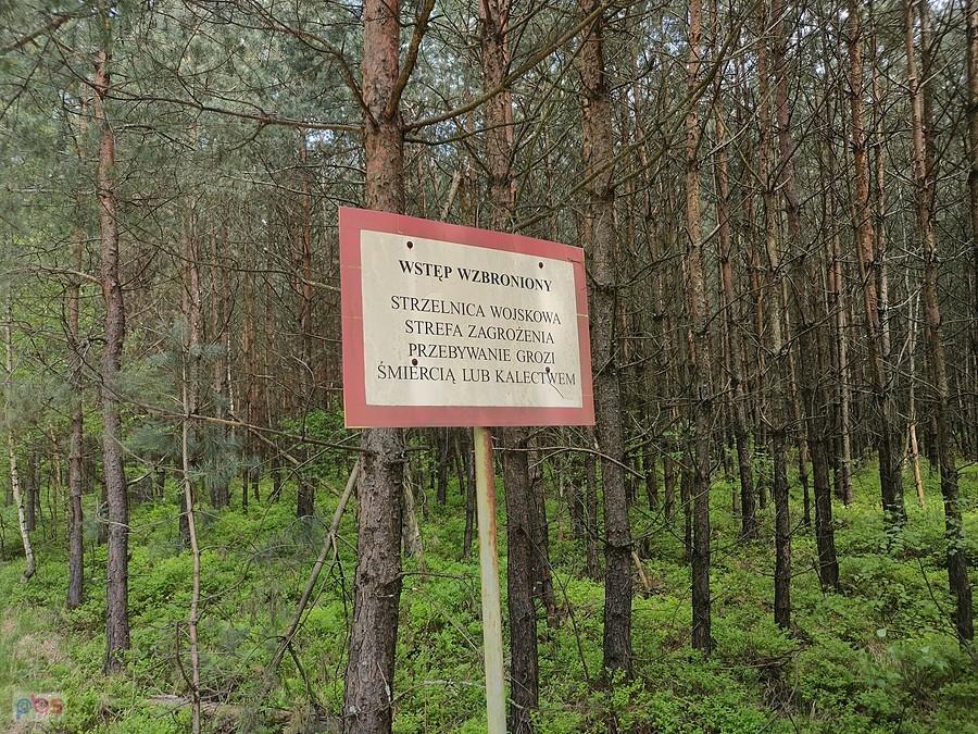 Niebezpiecznie