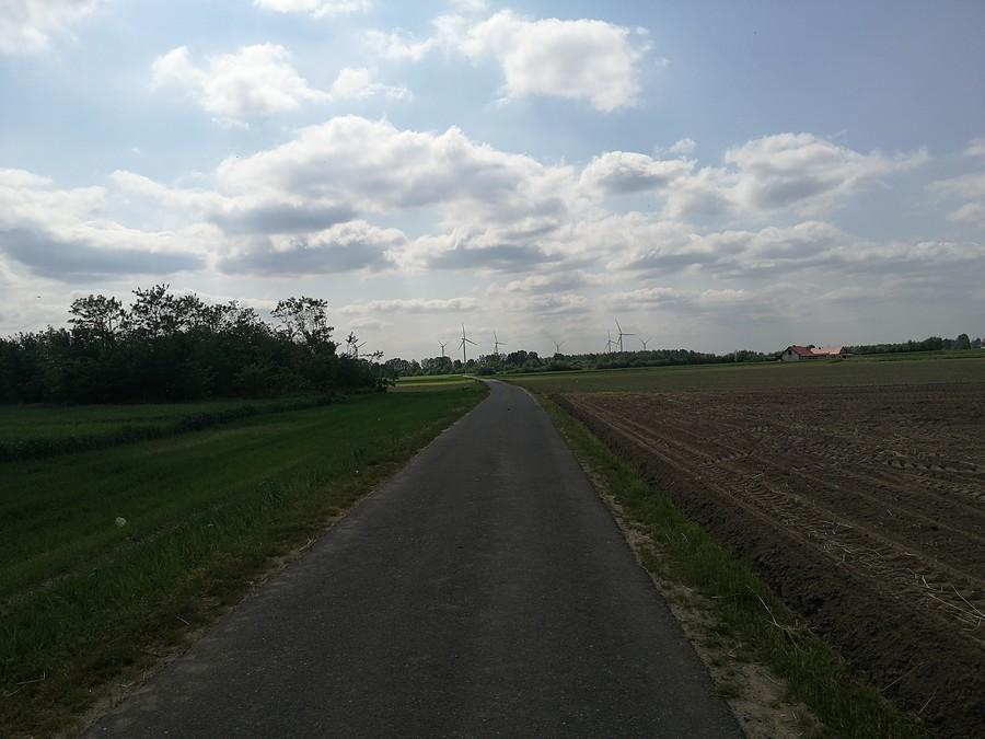 Między Ślesinem a Kleczewem mijam mnóstwo wiatraków.