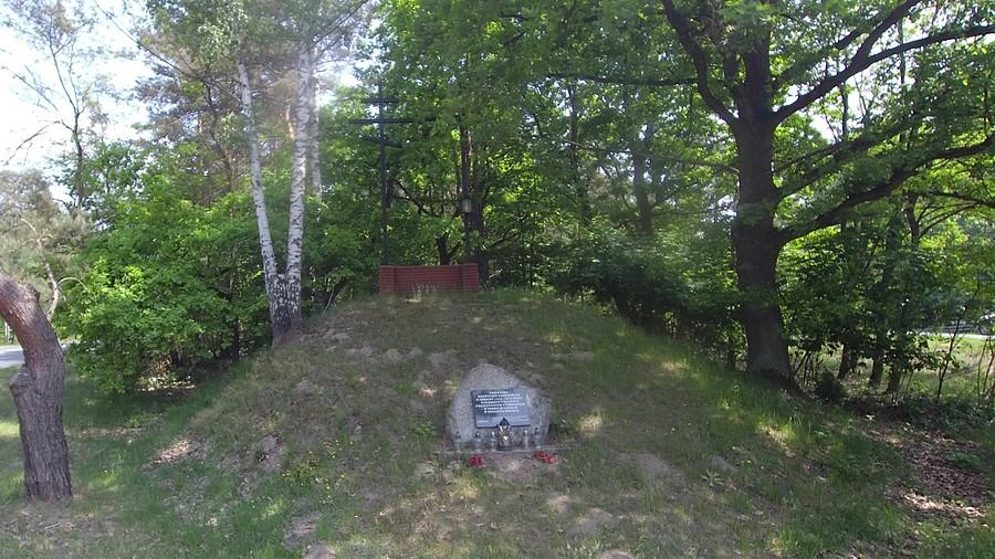 Cmentarz żołnierzy rosyjskich z okresu 1914-1918 oraz żołnierzy polskich pochowanych pierwotni w parku miejskim w Skierniewicach
