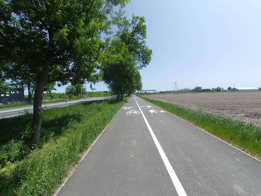 Fragment ddr od Święcic do skrętu na Pogroszew