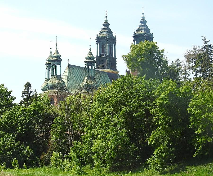 Katedra za drzewami