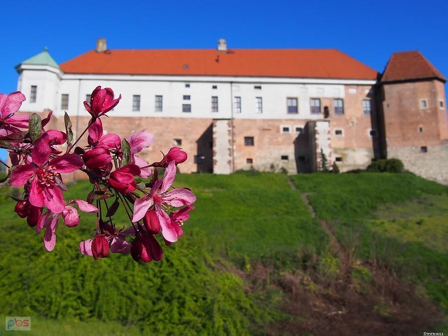 Zamek w Sandomierzu