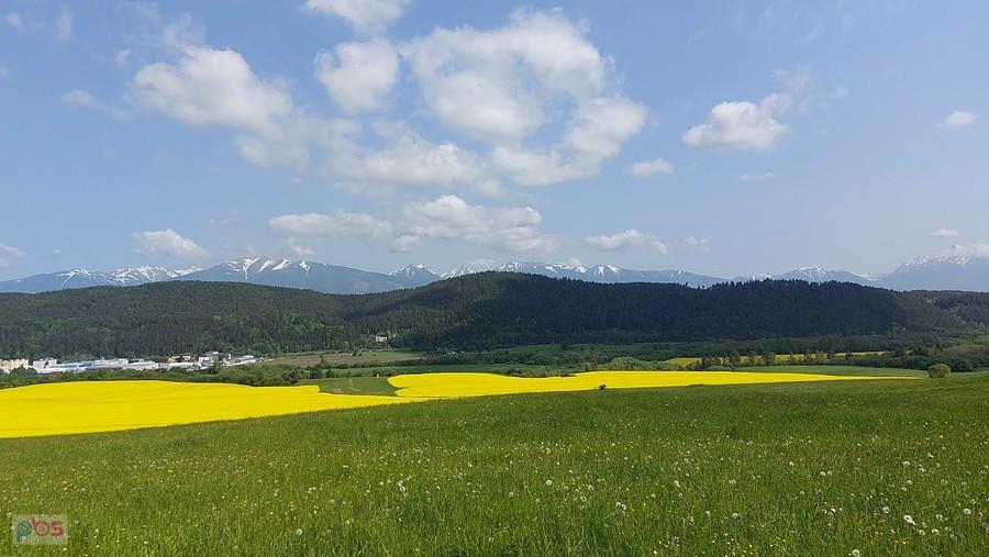Widok na Wysokie Tatry