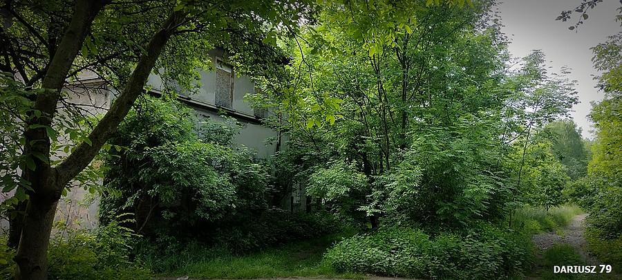Dąbrówka Wielka(Stacja kolejowa) - Linia kolejowa nr 145