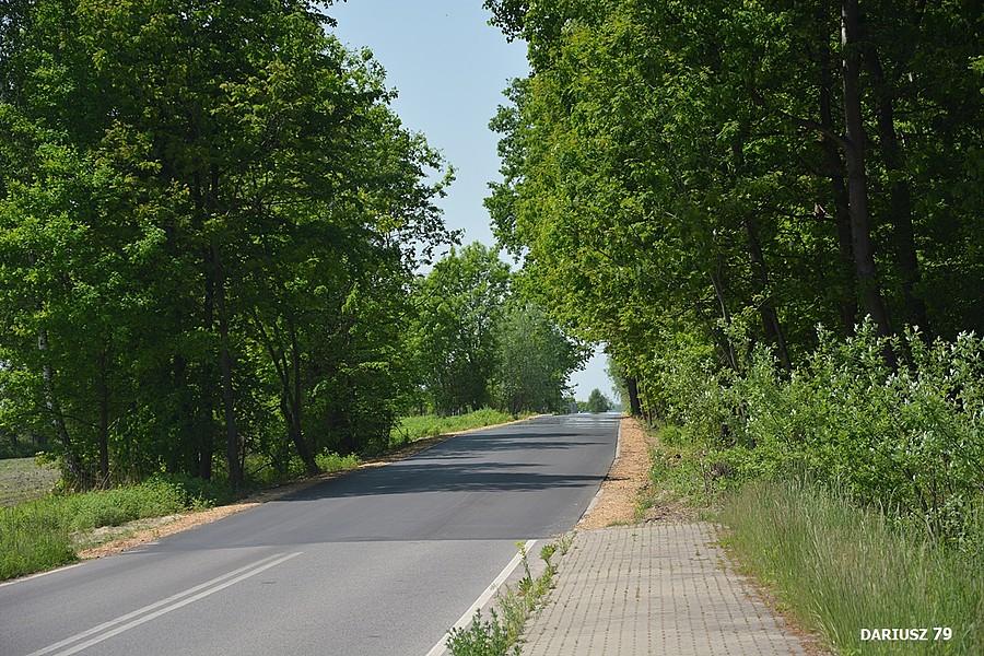 Wymysłów - Asfaltowa droga Podleśna
