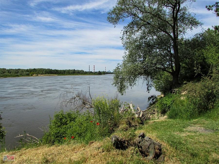 Dziki brzeg Plaży Romantycznej