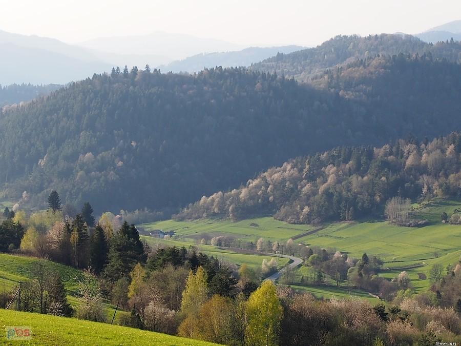 Z Przełęczy pod Tokarnią