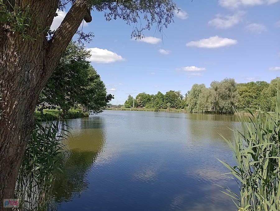 Staw w Zielonkach