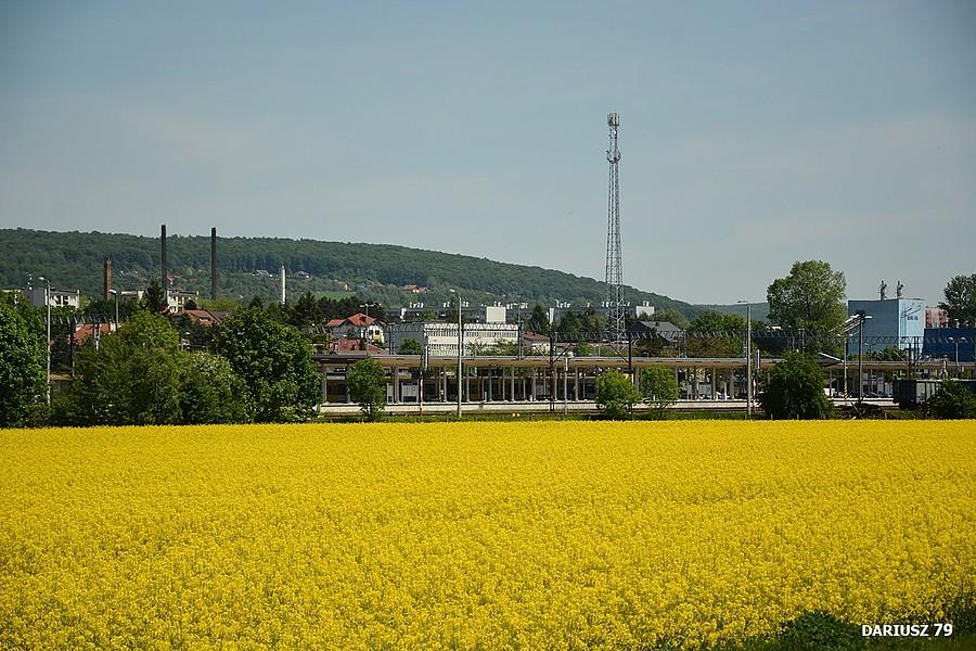 Krzeszowice