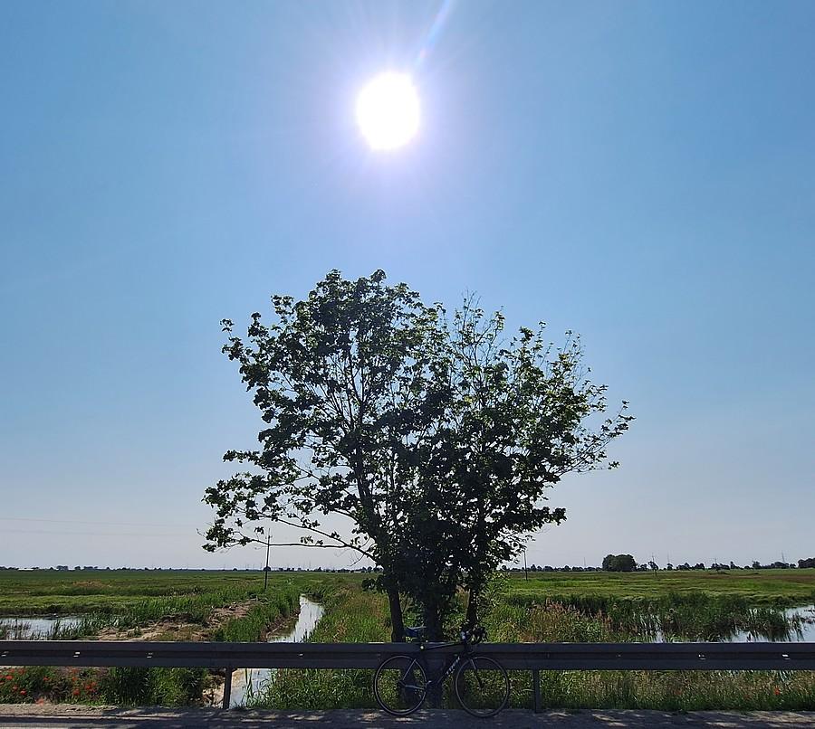 Słońce nad Szczodrzykowem