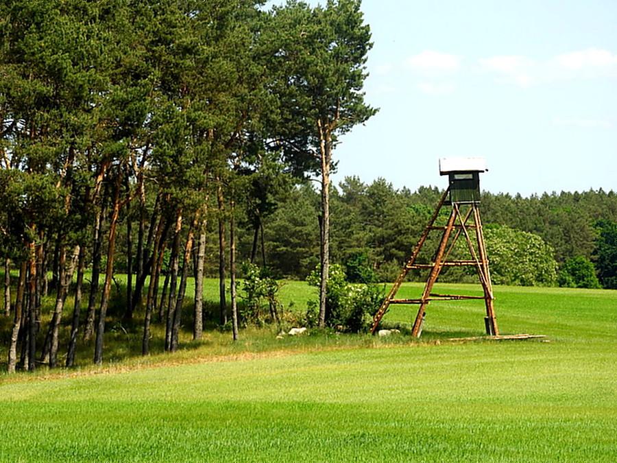 Ambona myśliwska pod Pampow.