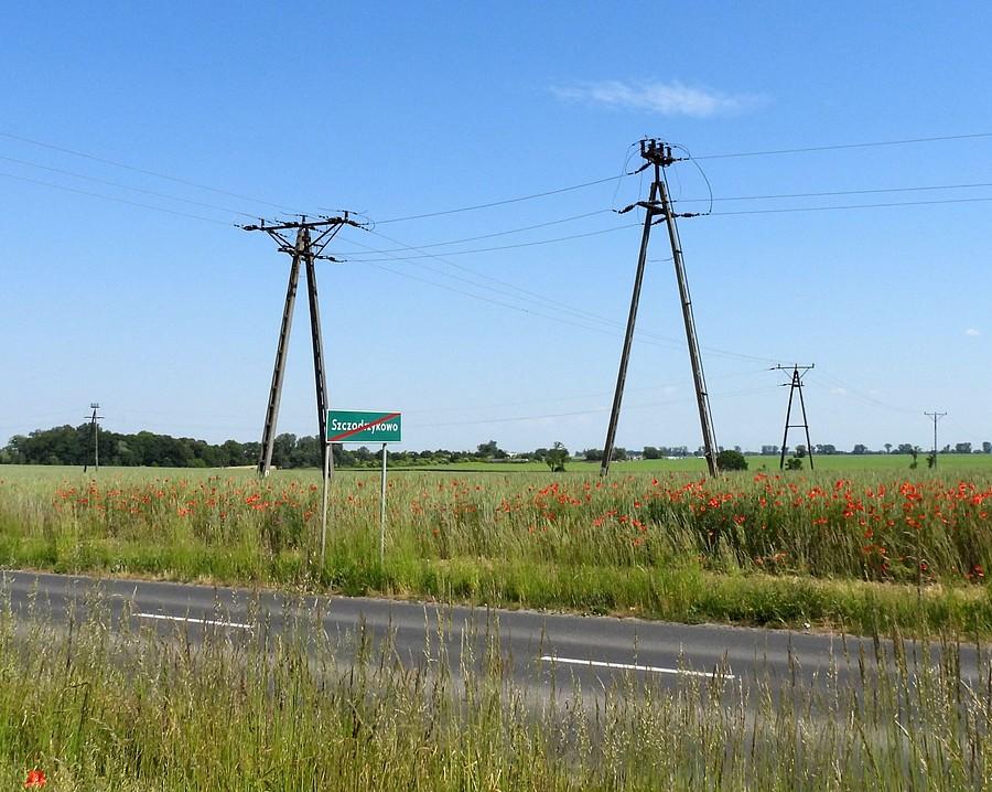 Na tych drutach są ptaki. Zdjęcie przed testowaniem aparatu