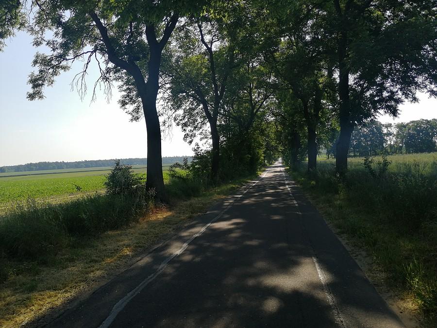 Początek trasy przez Gołuchów.