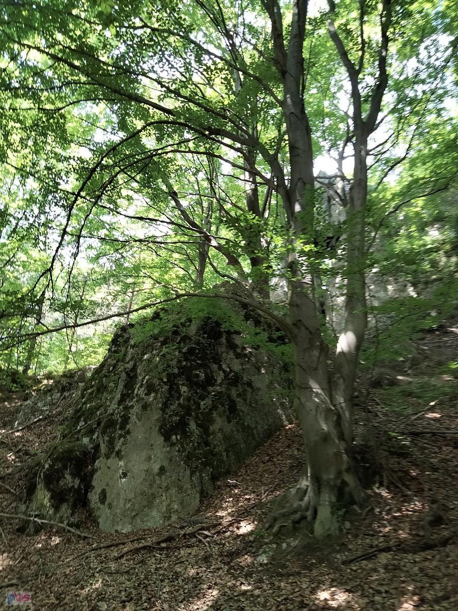 Przy skale Czarny Kamień
